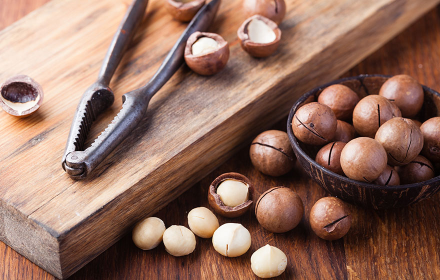The 6 Best Nuts for Older Adults Lifetime Daily